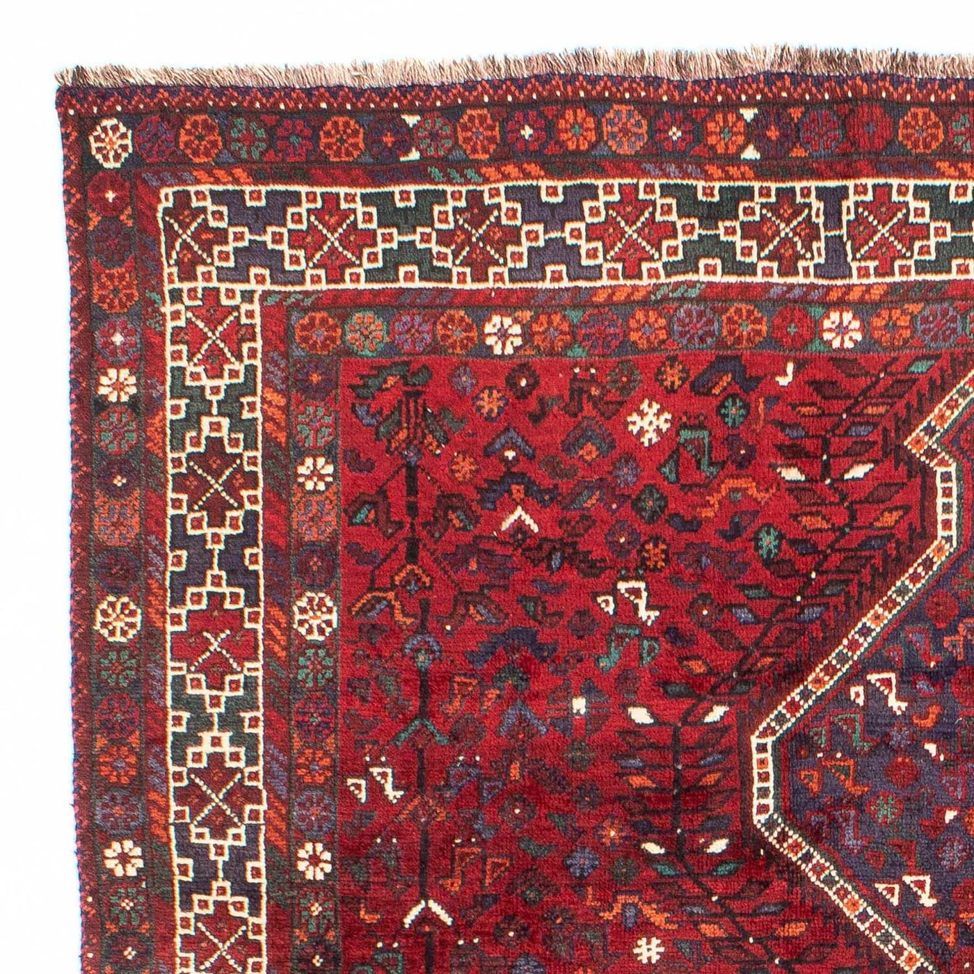 Shiraz Teppich 300x208cm - Perserteppich