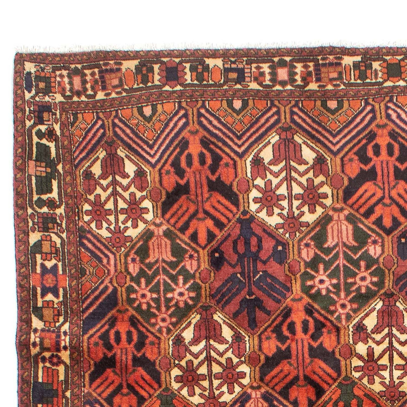 Bachtiar Teppich 288x210cm - Perserteppich