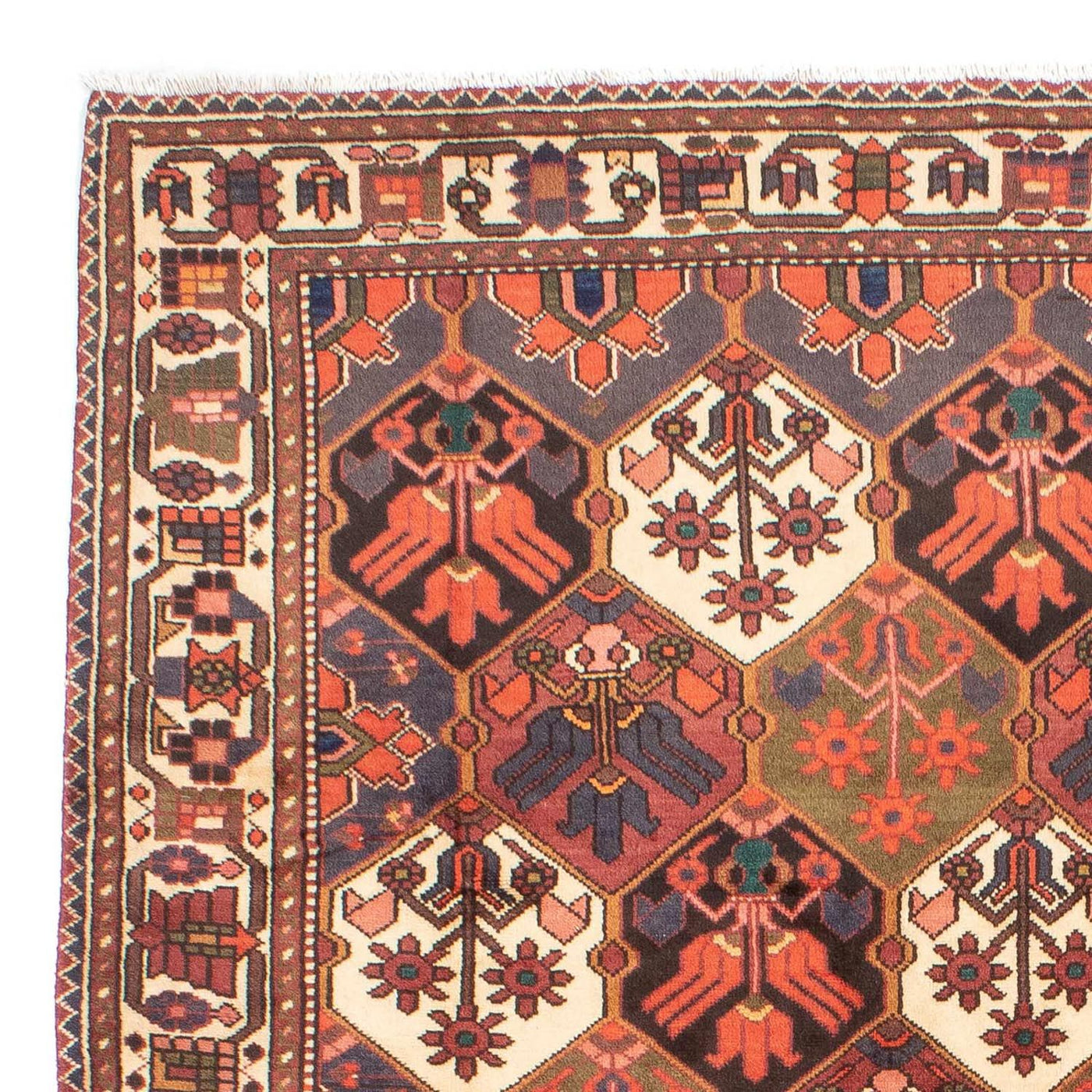 Perserteppich - Nomadic 287 x 207 cm - braun
