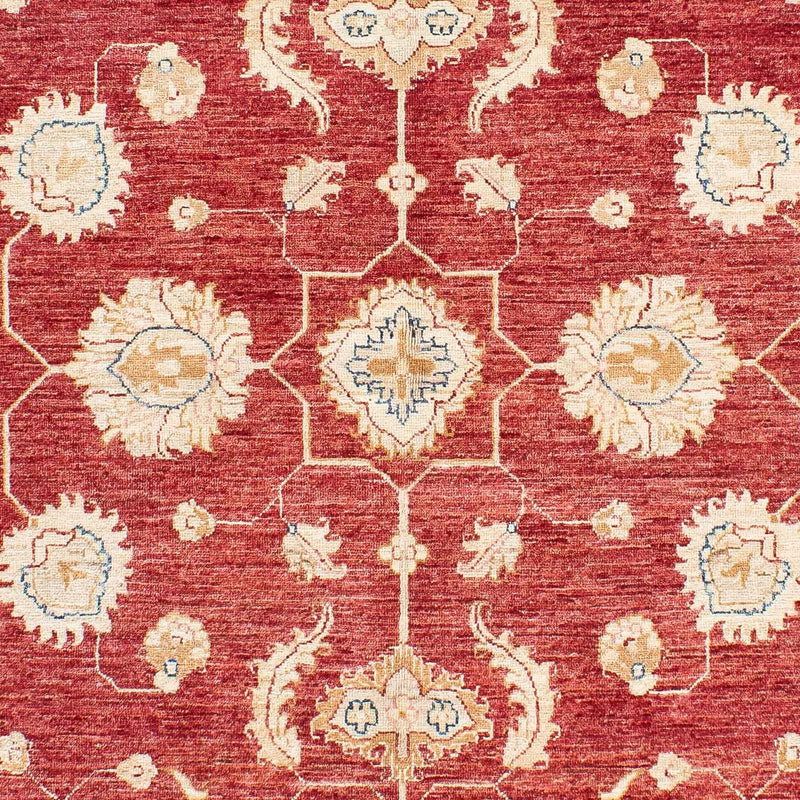 Ziegler Teppich 237 x 169 cm