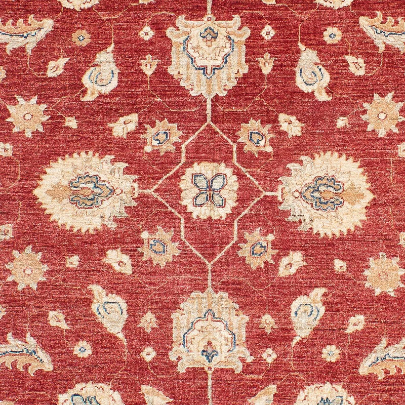 Ziegler Teppich 234 x 167 cm