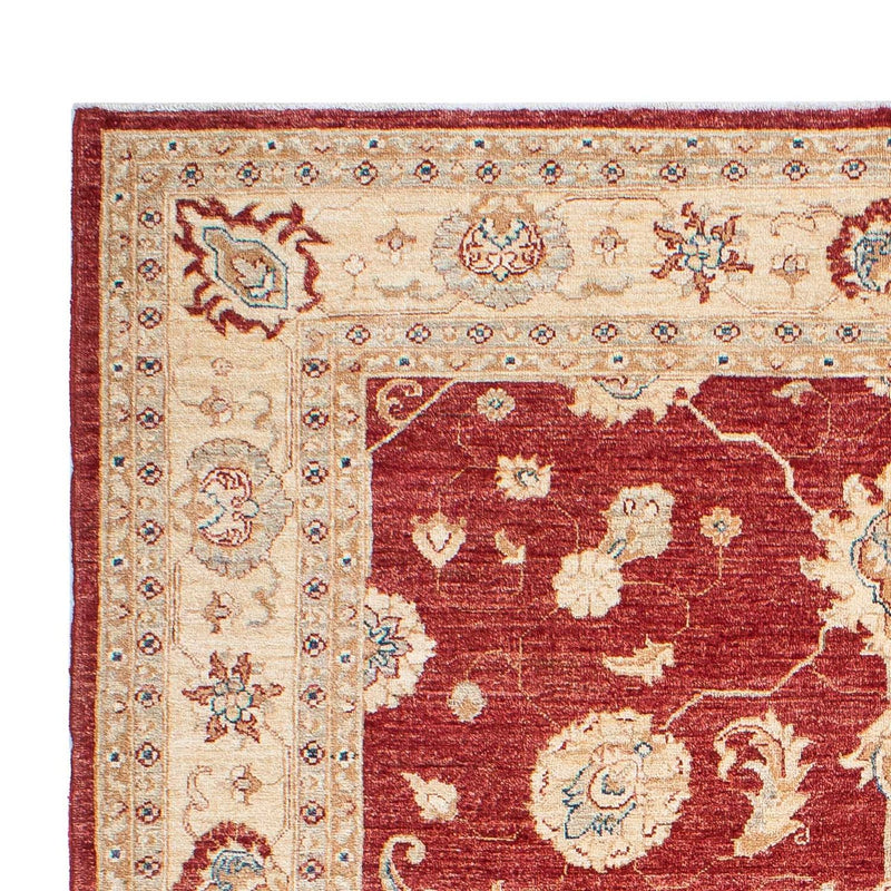 Ziegler Teppich 234 x 167 cm