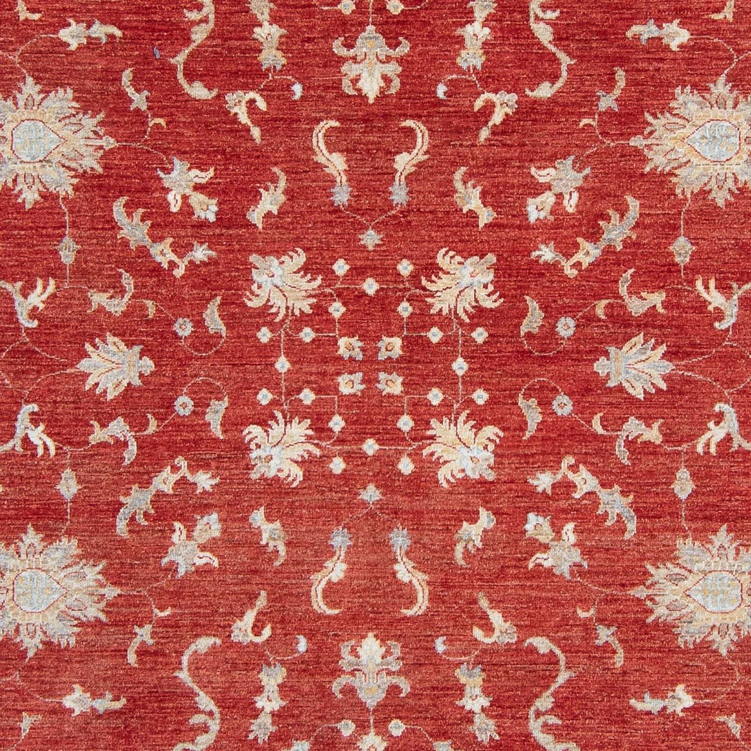 Ziegler Teppich 292 x 242 cm
