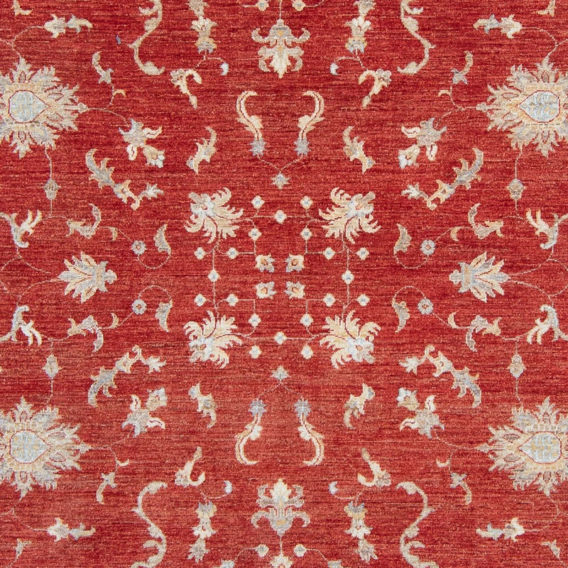 Ziegler Teppich 292 x 242 cm