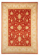Ziegler Teppich 346x243cm - Orientteppich