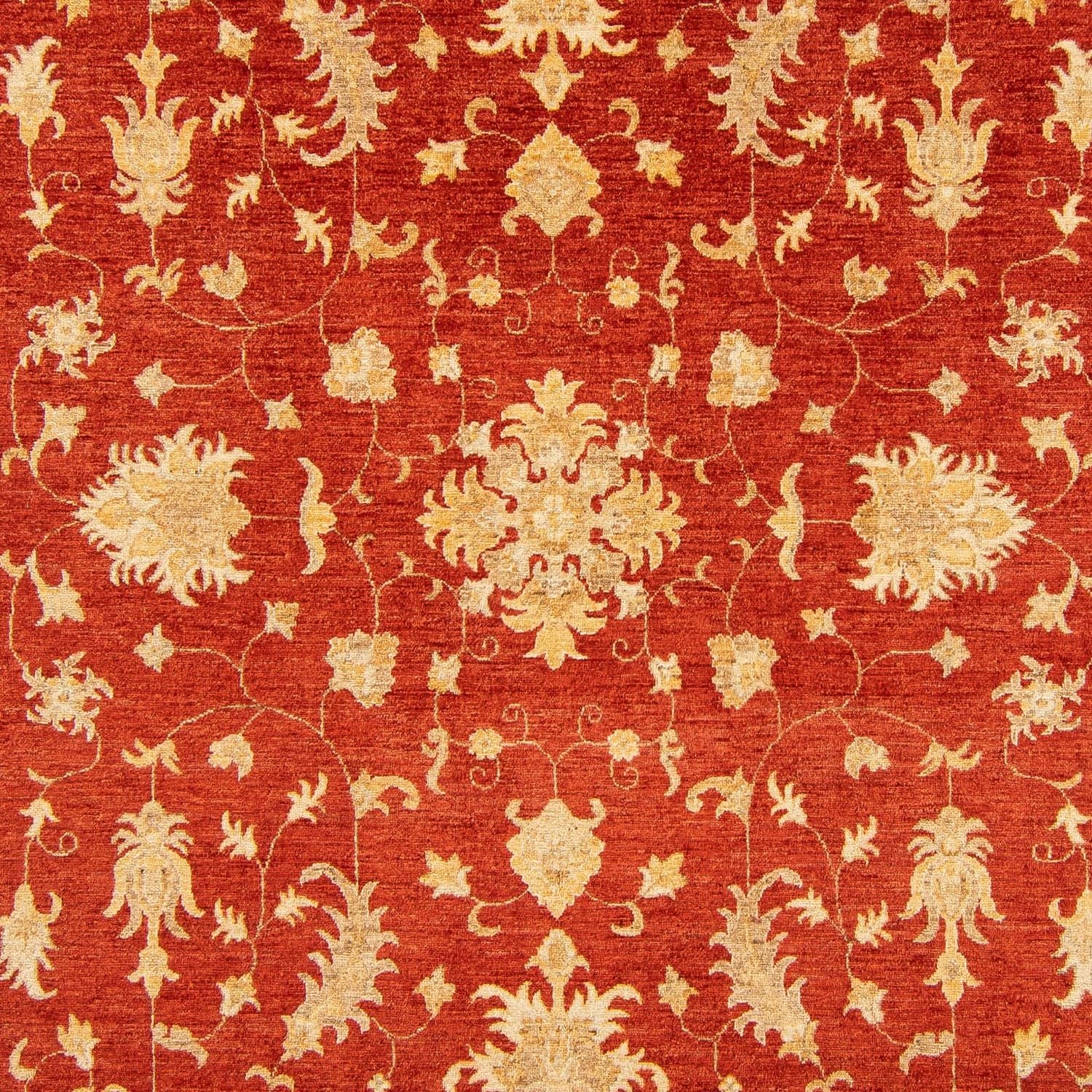 Ziegler Teppich 346 x 243 cm