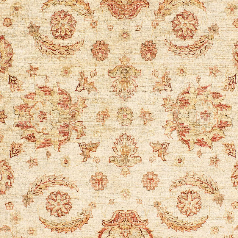 Ziegler Teppich 241 x 162 cm