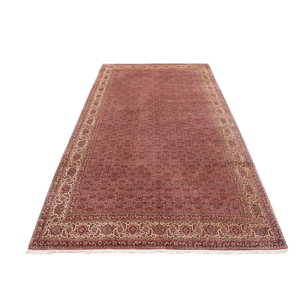 Perserteppich - Bidjar - Royal - 482 x 256 cm - braun