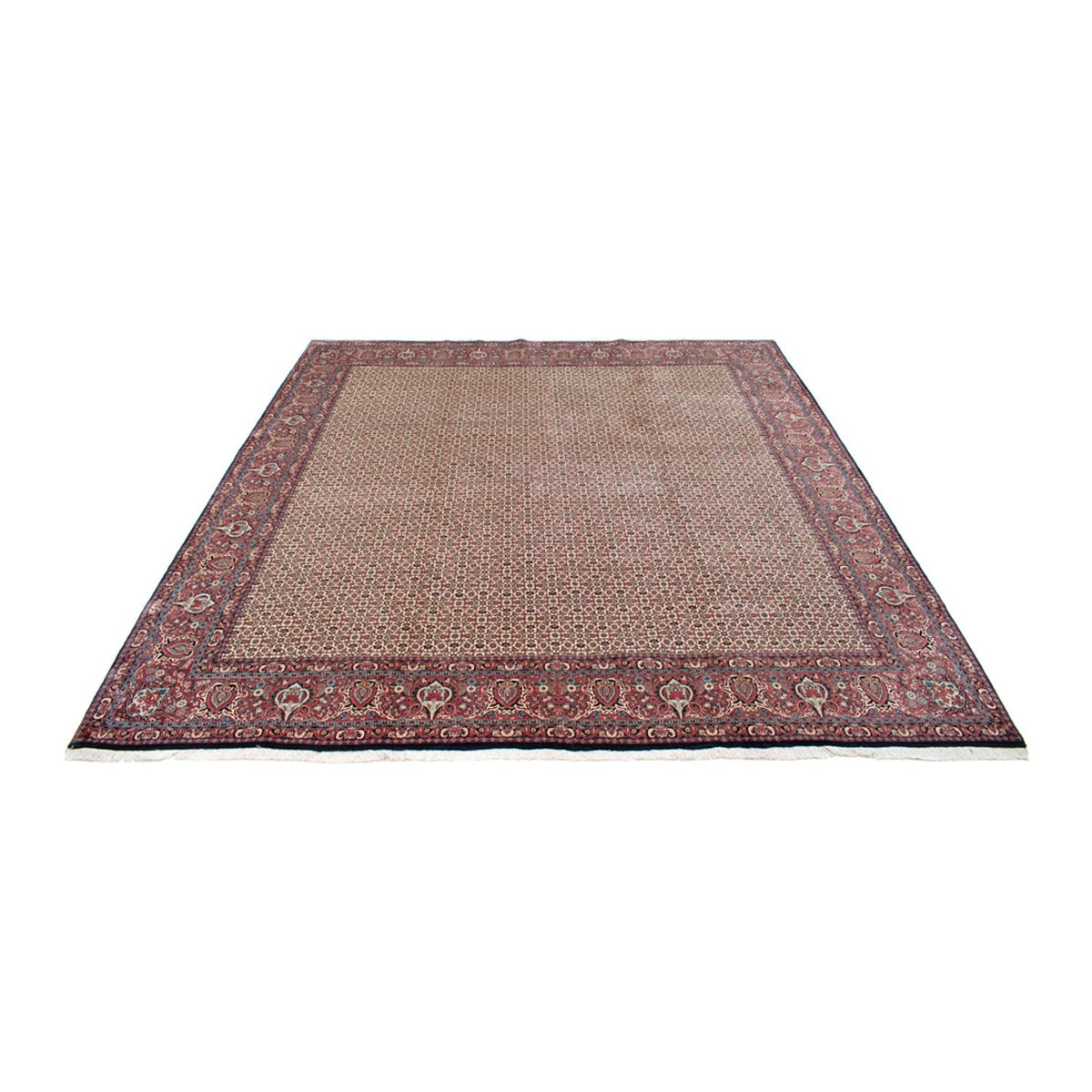 Perserteppich - Bidjar - Royal quadratisch  - 366 x 348 cm - beige