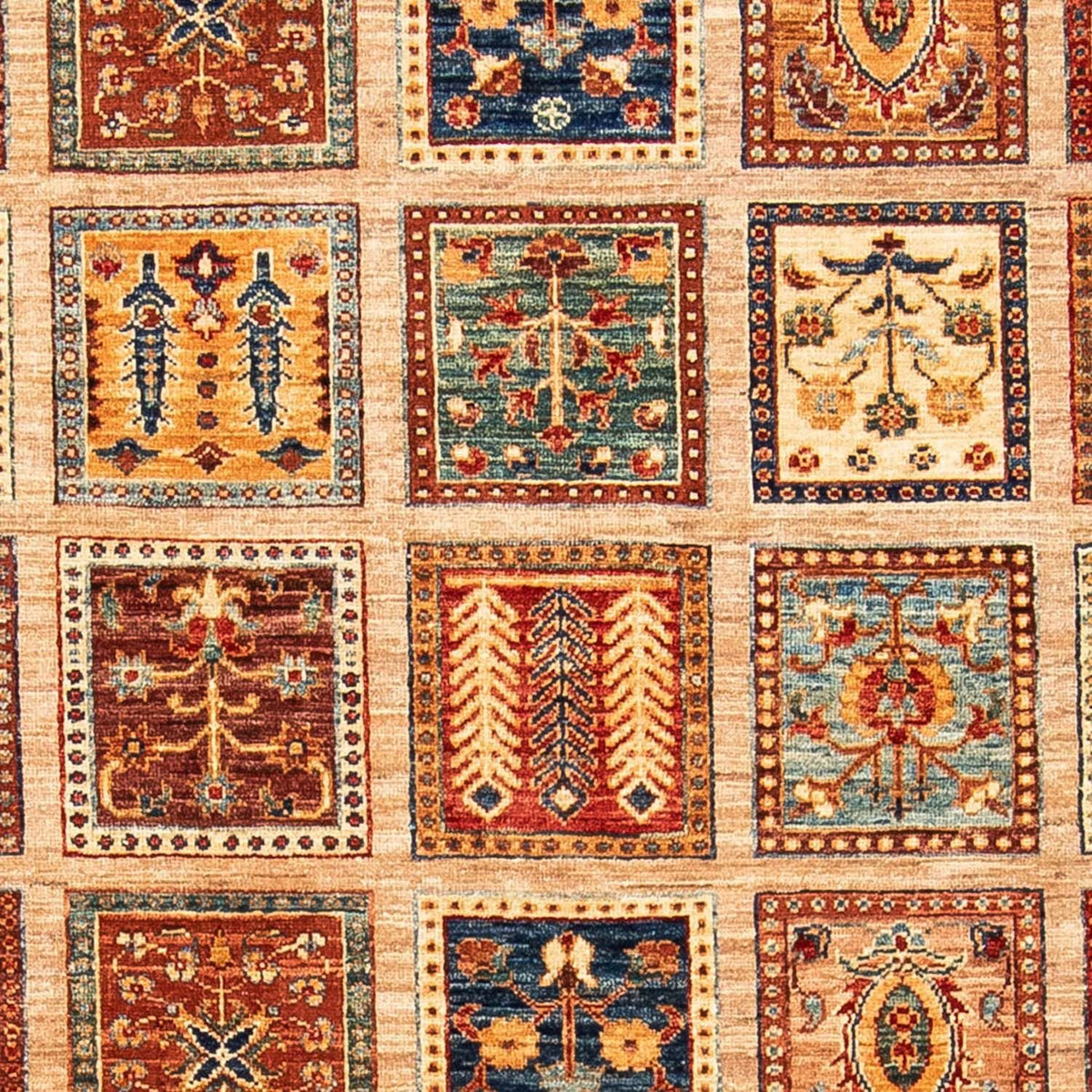 Ziegler Teppich 245 x 169 cm