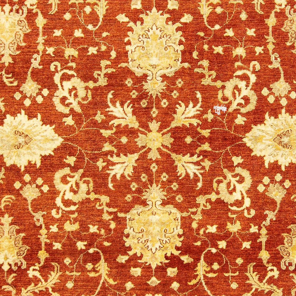 Ziegler Teppich 251 x 198 cm