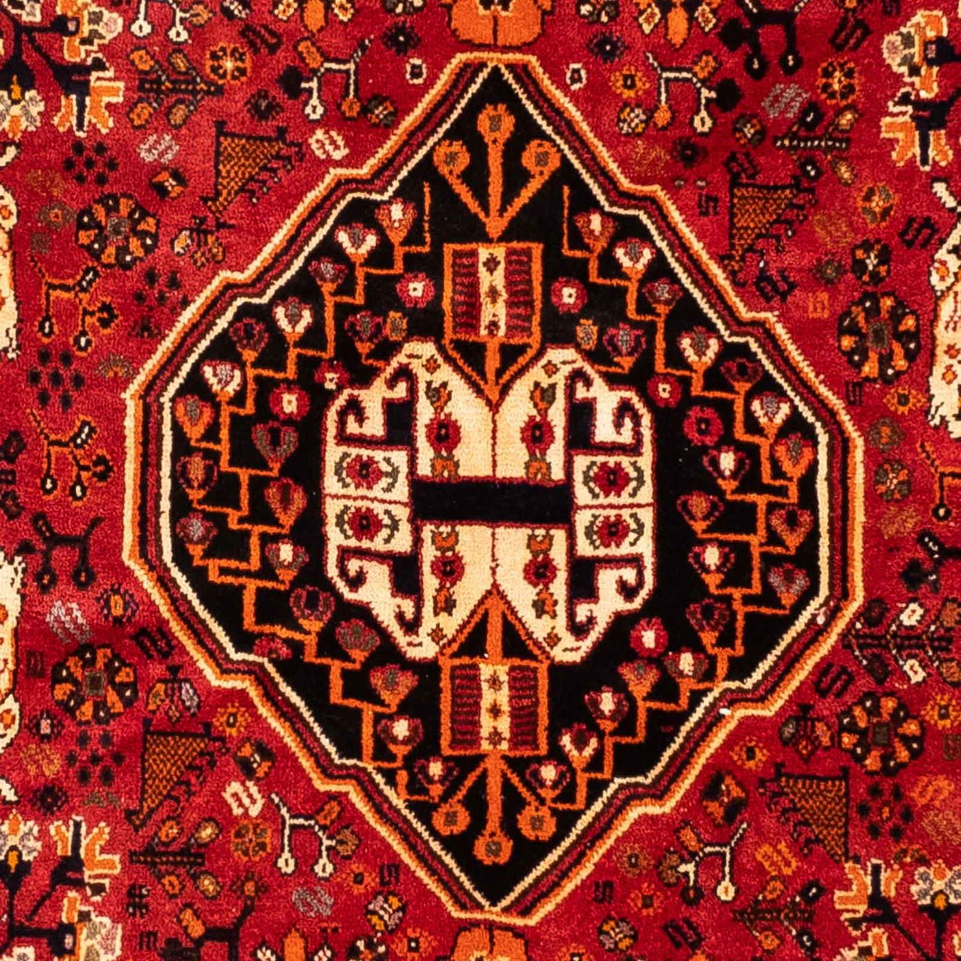 Shiraz Teppich 248x160cm - Perserteppich