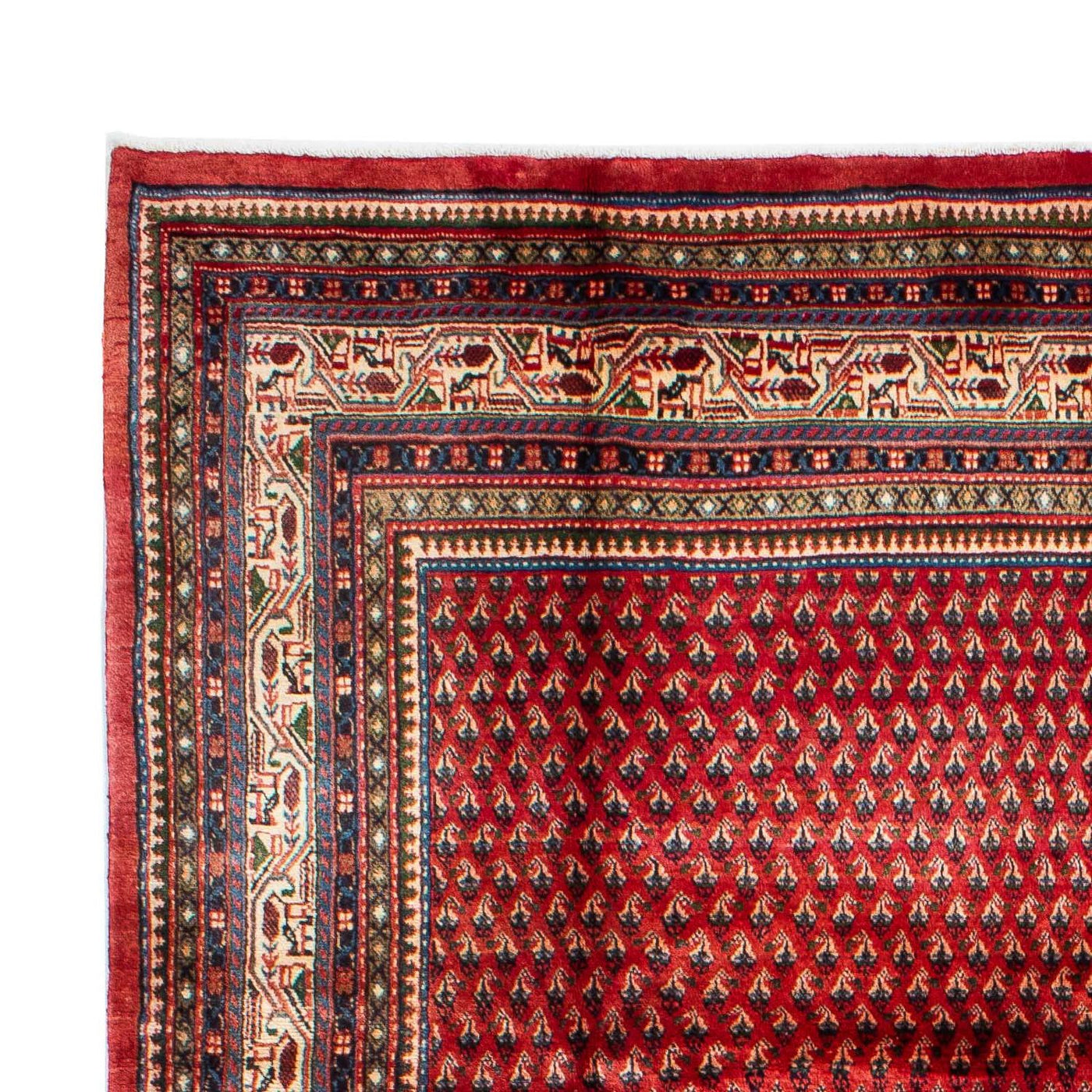 Mir Teppich 329x214cm - Perserteppich