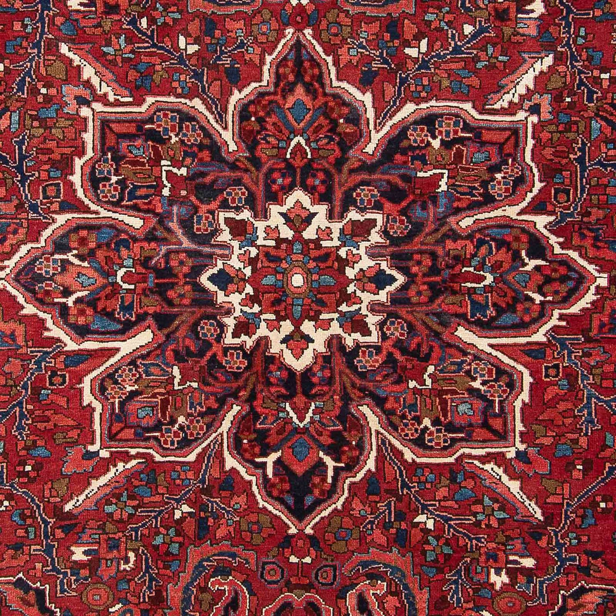 Perserteppich - Nomadic 349 x 244 cm