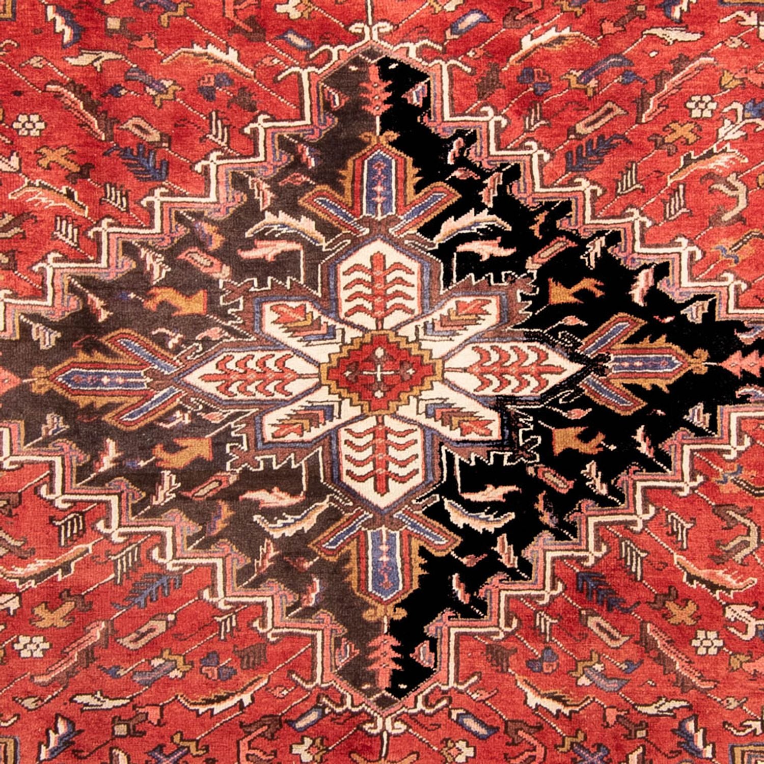 Perserteppich - Nomadic 331 x 248 cm