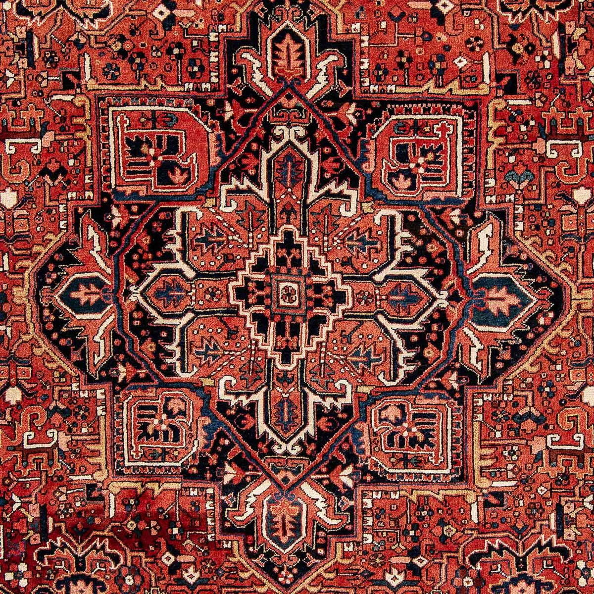 Perserteppich - Nomadic 386 x 262 cm