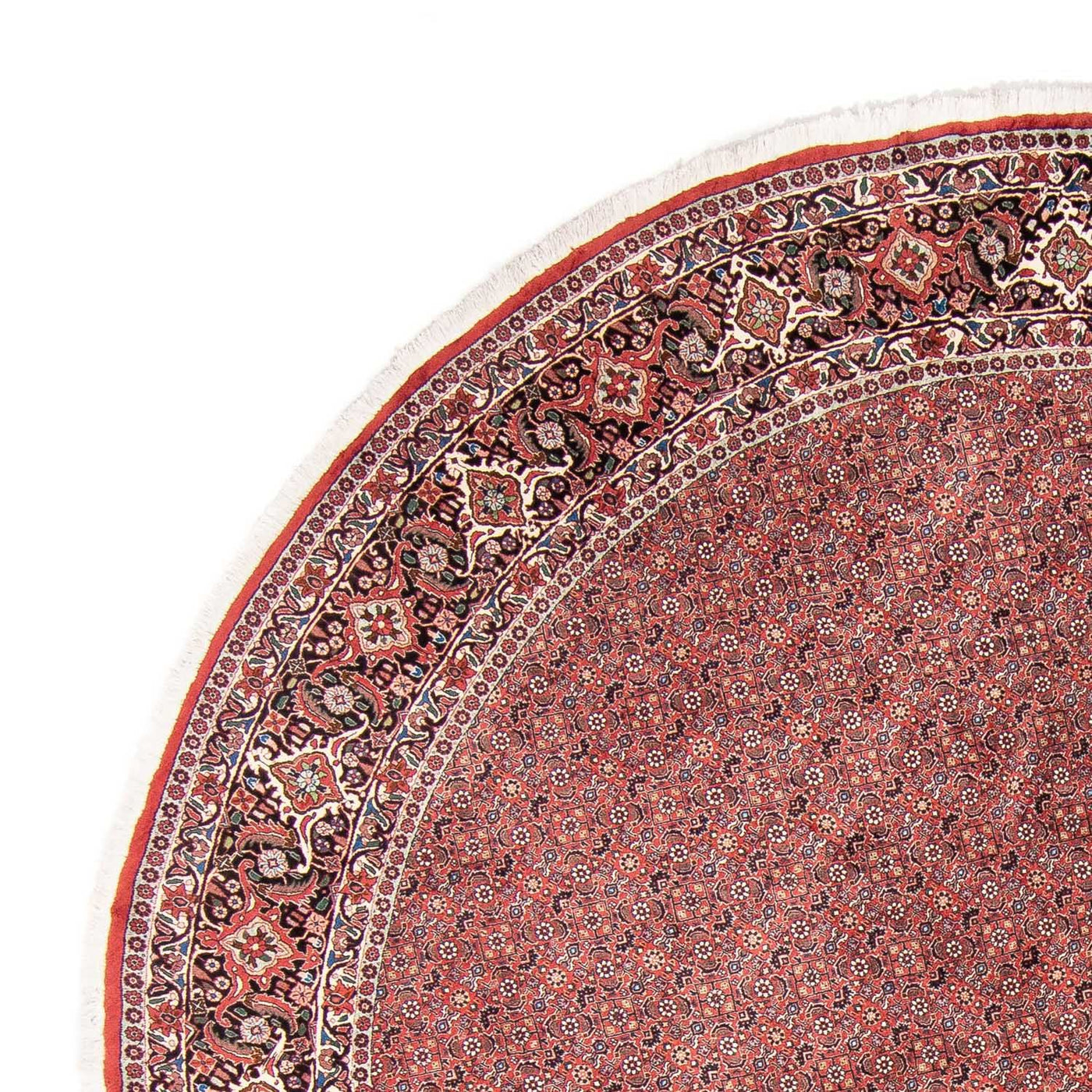 Bidjar Teppich 300x300cm - Perserteppich